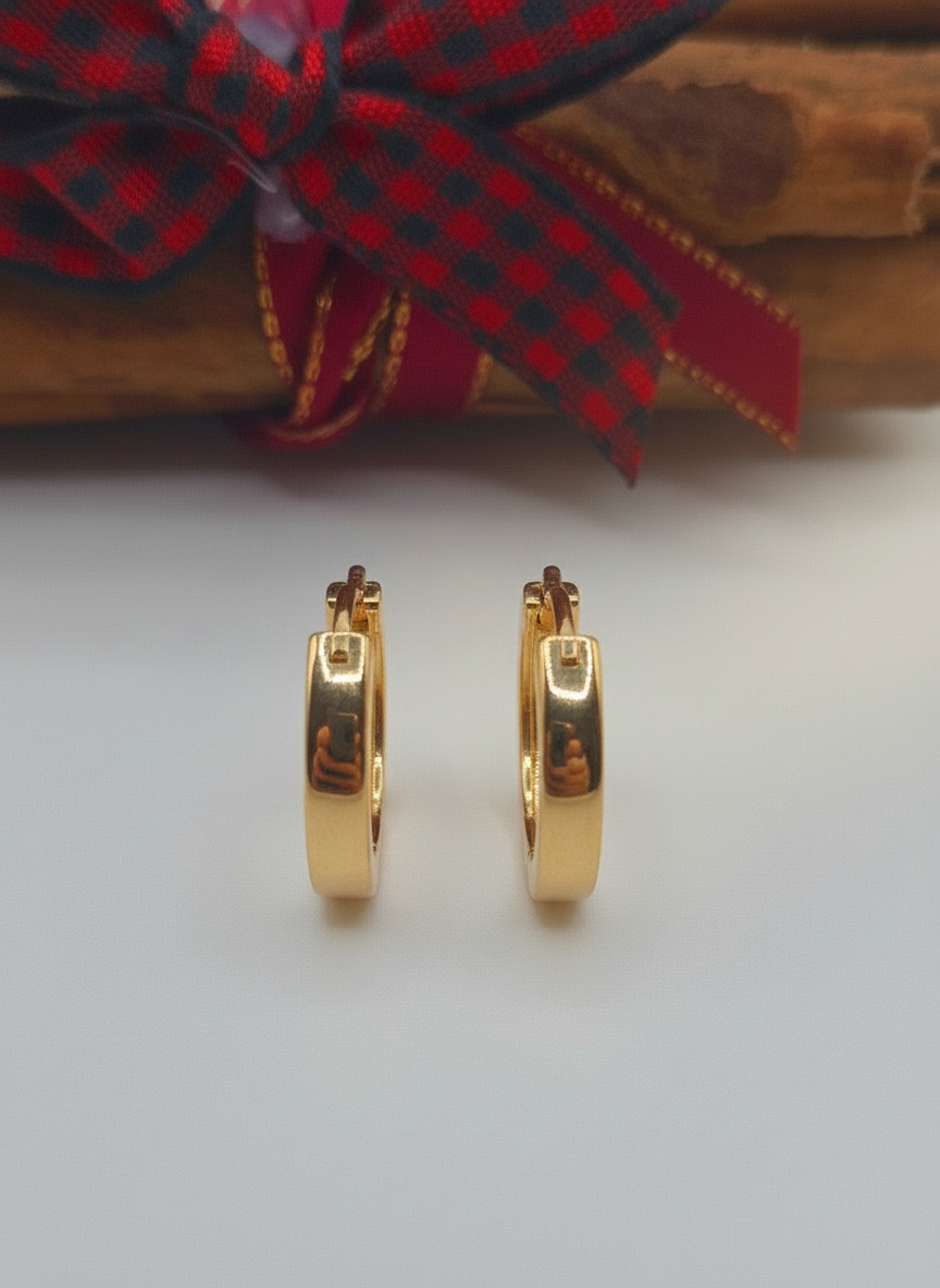 Aretes argollas pendientes hoops gold filled laminado 14K Gold earrings zarcillos